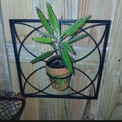 Metal Plant Holder Wall Decor
