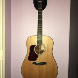 Walden D550L Acoustic Guitar