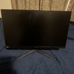 LG Ultragear Gaming Monitor 
