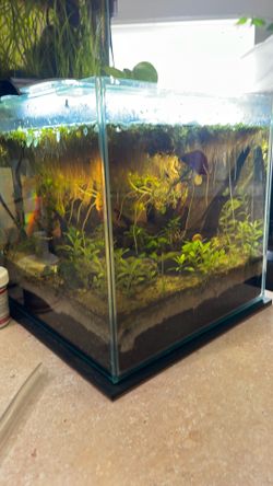 Aquarium