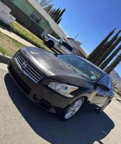 2010 Nissan Maxima