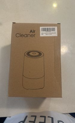 Air Cleaner 