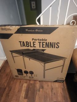 Portable Table Tennis Set