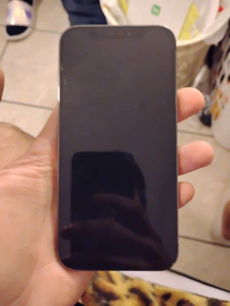 IPHONE 12 PRO MAX