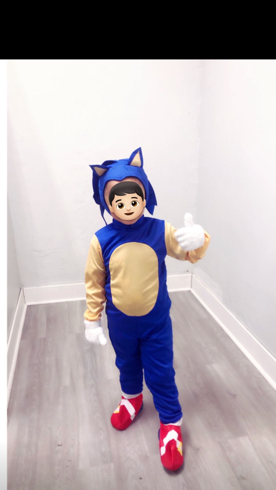 Sonic And Amy Costumes