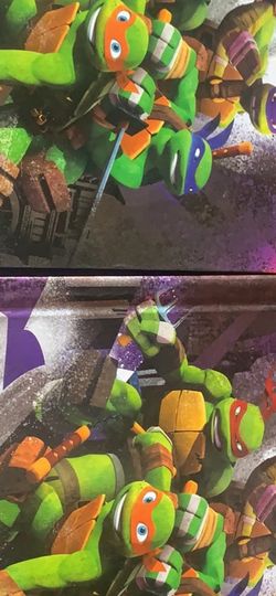 Ninja Turtle Books