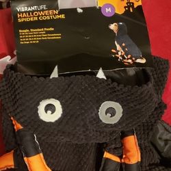 Pet Spider Costume 