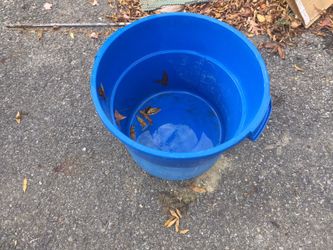 Water bucket