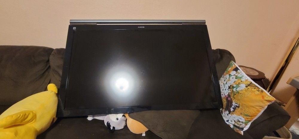 50 Inch Sony Lcd Tv. $50
