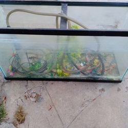Fish Tanks For Sale 