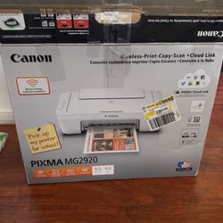 Canon PIXMA MG2920 Printer 