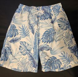 Boys Swimsuit trunks size 9