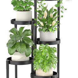 Plant Stand