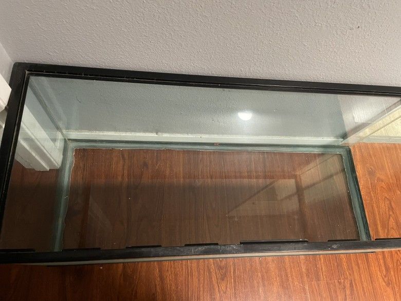 75 Gallon Tank!