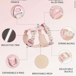 Summer Fruit Delight Dog Harness And Leash 