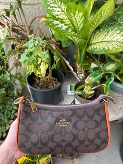 Coach Signature Wristlet Pouch Bag