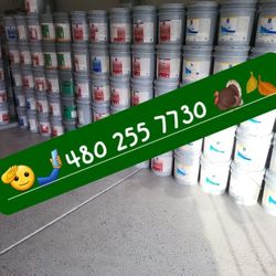 Paint For Sale
