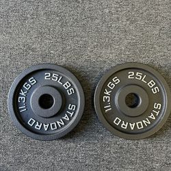 Standard Brand 25 lb Olympic Weight Plates 