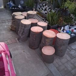 FREE PALM TREE STUMPS 🌴 🔥 