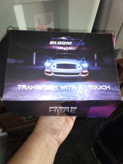 Lights comes with remote