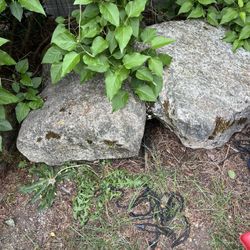 Rocks 