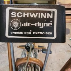 Original Schwinn Air-Dyne Assault Bike