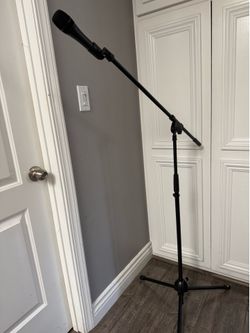 Microphone