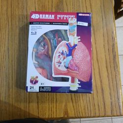 4 D Human Anatomy Respiratory System 