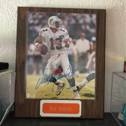 Dan Marino Nfl Miami Dolphins Nfl Signed Picture 