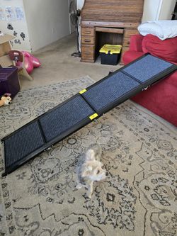 Pet Stairs