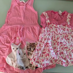 Girl Clothing 4-6 Years Old