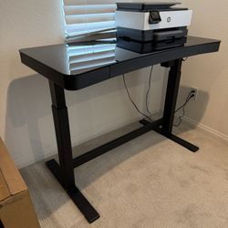 Electric Height Adjustable Standing Desk