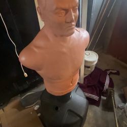 Punching Dummy