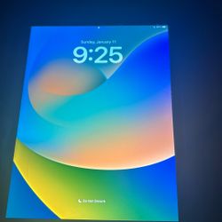 iPad Pro 12.5 Inches 