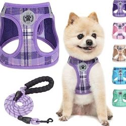 BeautyZoo Small Dog Harness and Leash Set