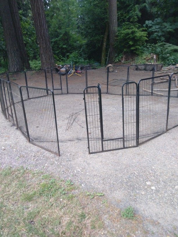 Kennel