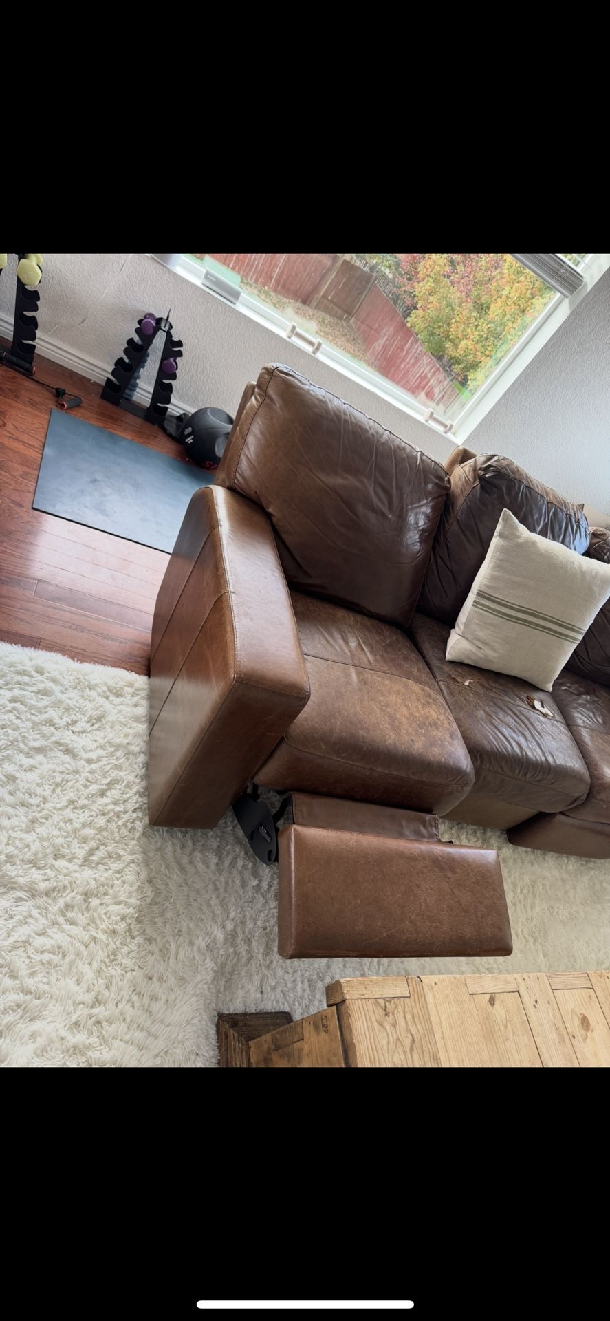 Free Recliner Couch