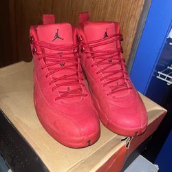 Jordan Retro 12