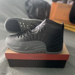 jordan 12 barons size 12 DS