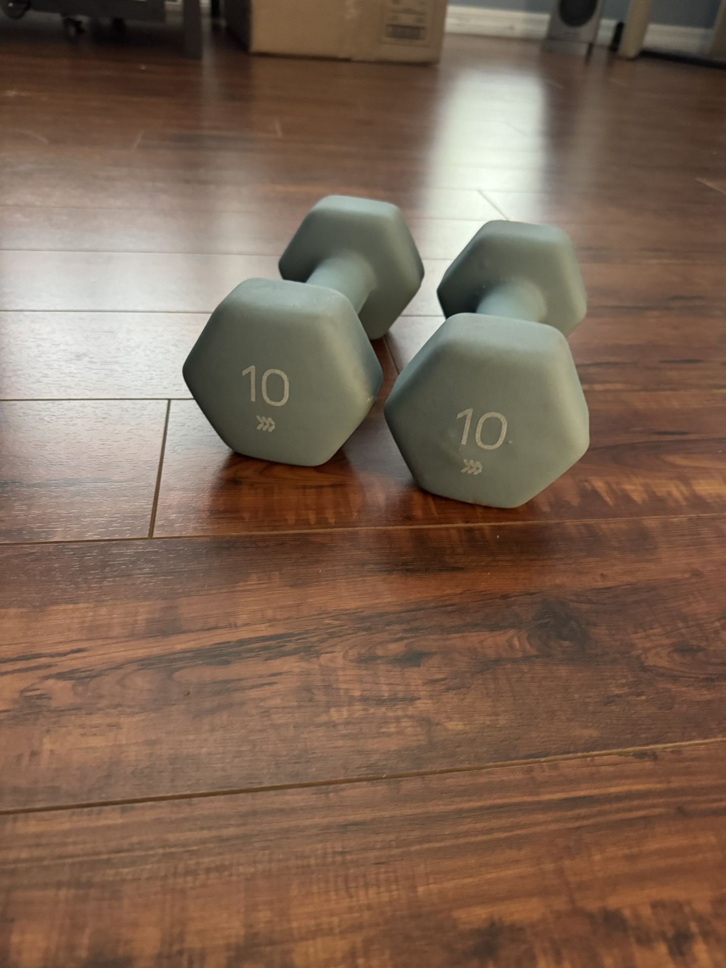 10 Lb Set Weights