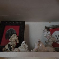 Poodle Collection