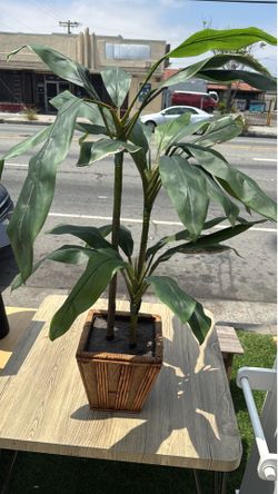 Artificial Plant