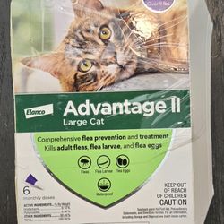 🐱 Advantage II Large Cat Flea Treatment — 6-Month Supply 💧
