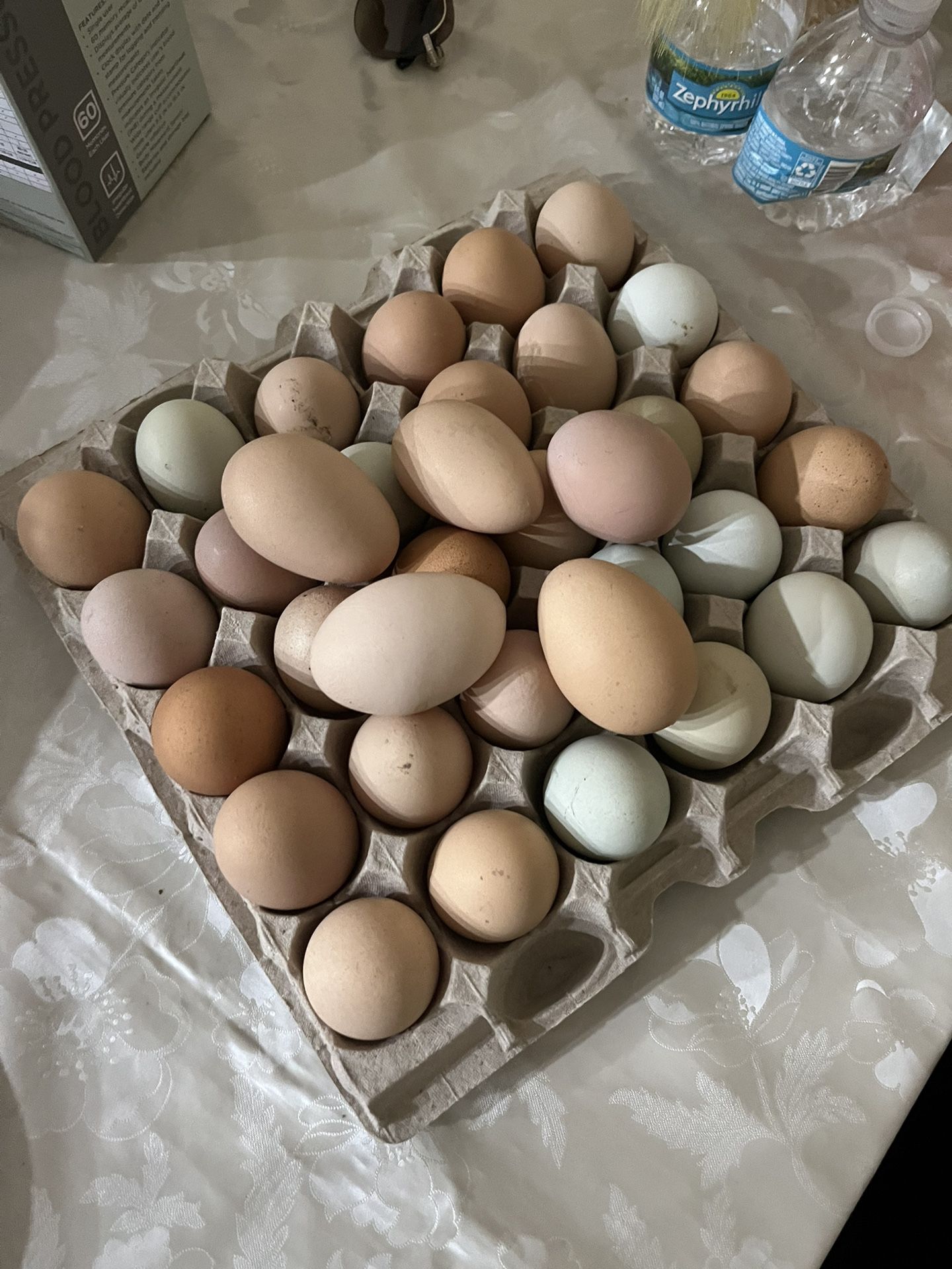 eggs for sale 