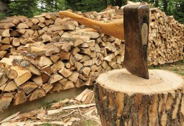 Camping firewood