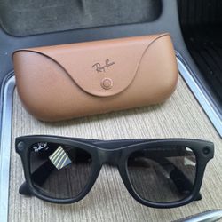 Raybands Meta Glasses 