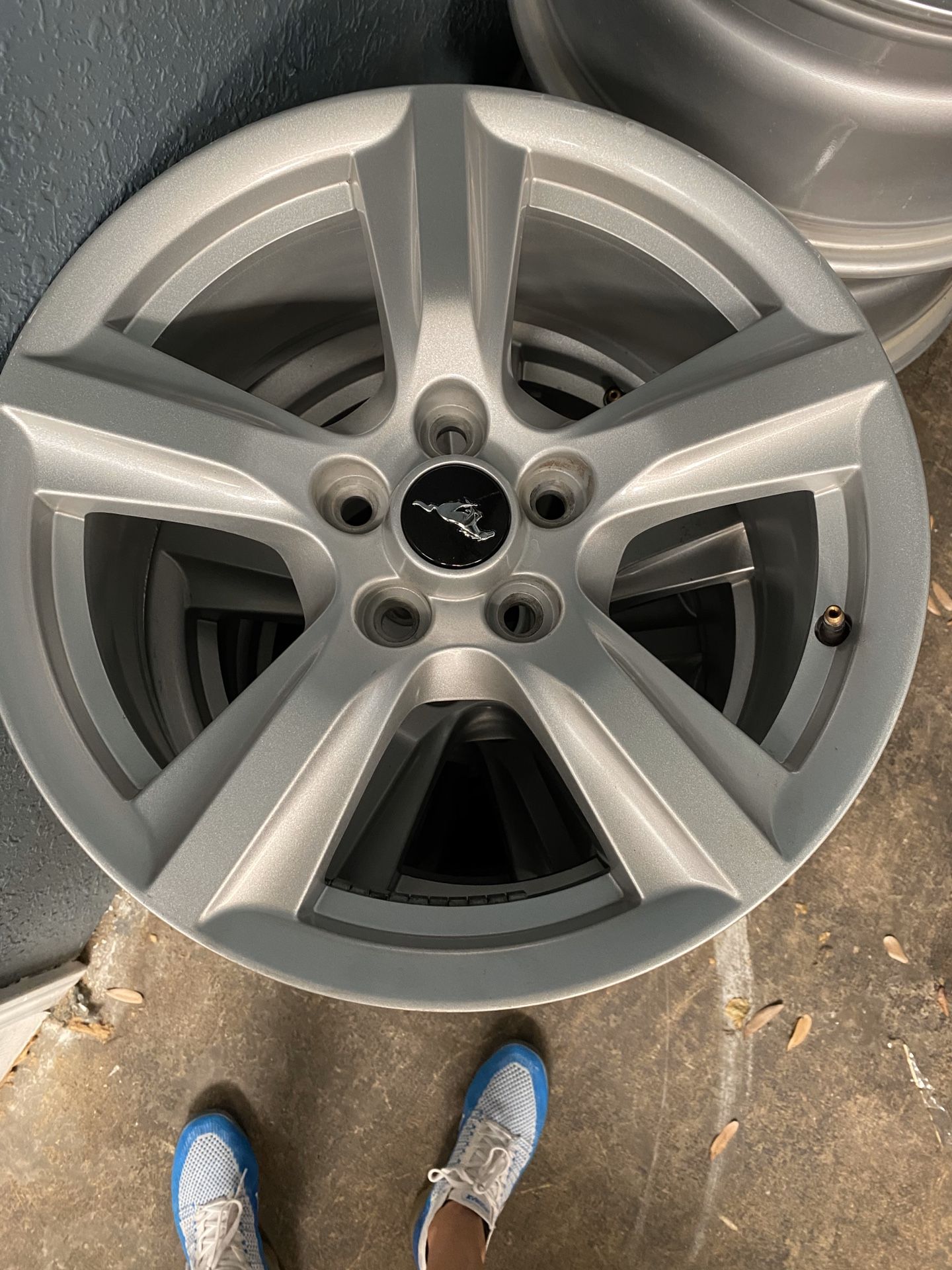 Mustang wheels
