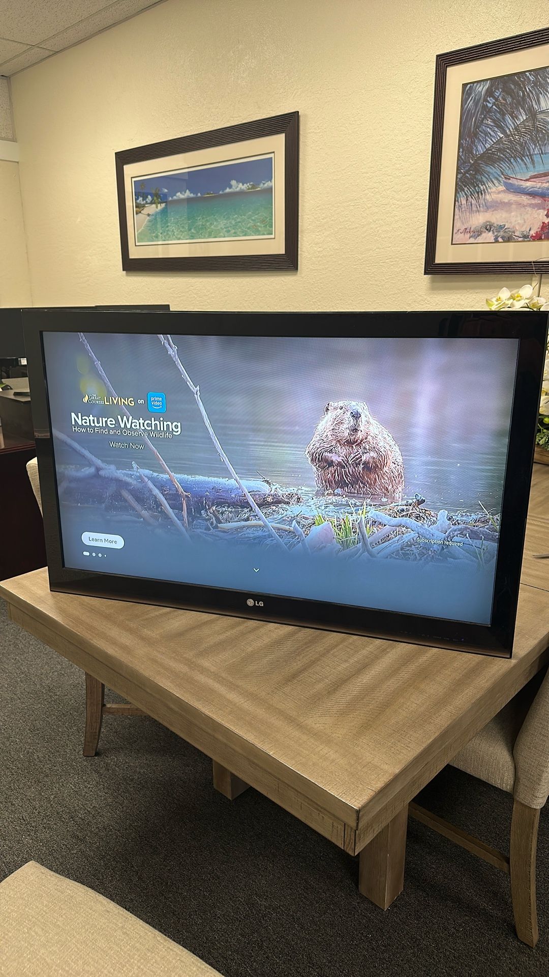LG 42” LCD TV (Model 42LK450) – Works Great! – $60 Includes an Amazon Fire Stick with remote!
