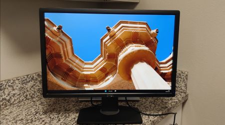Dell 24" Monitor