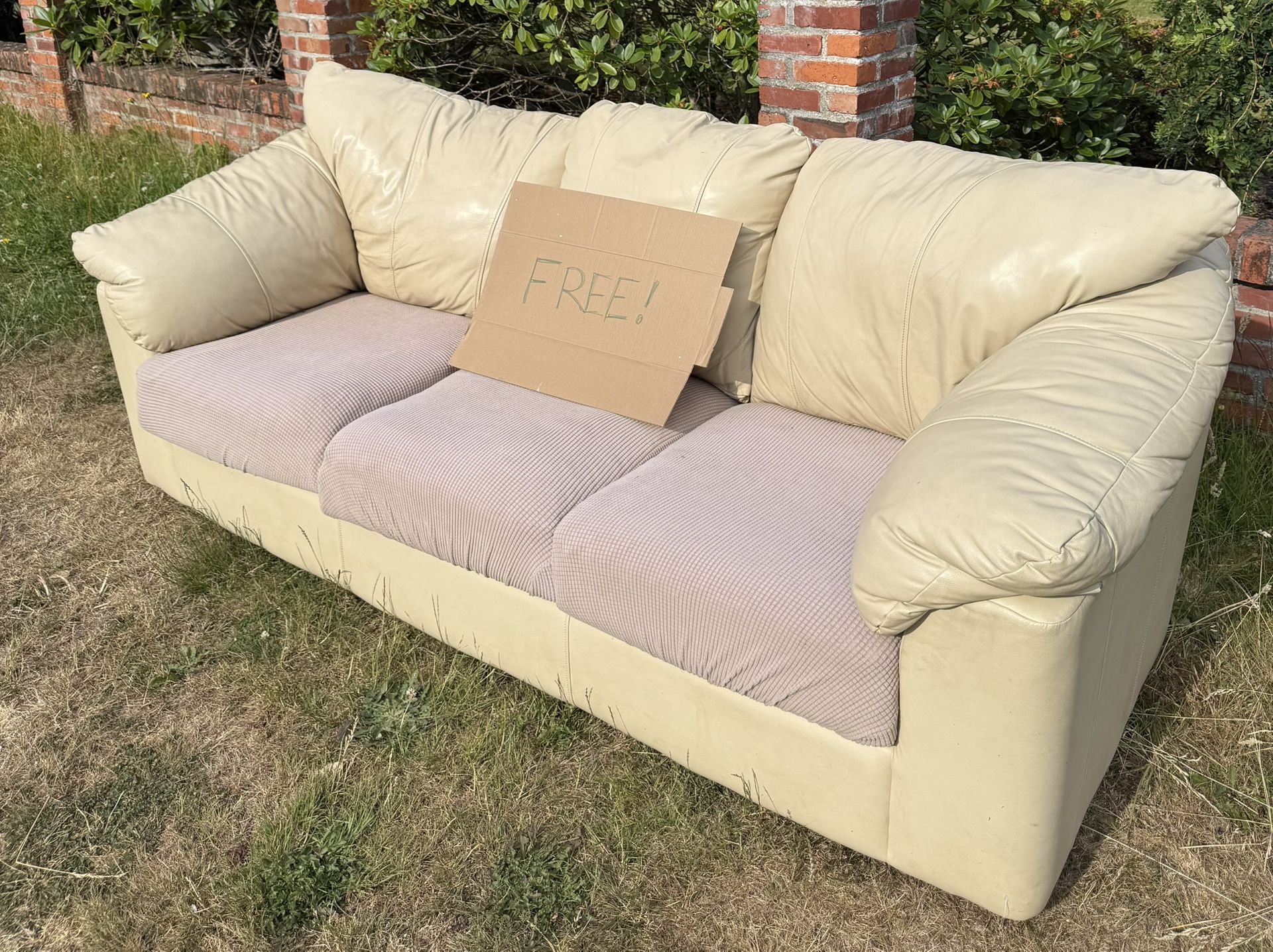 Free Leather Couch